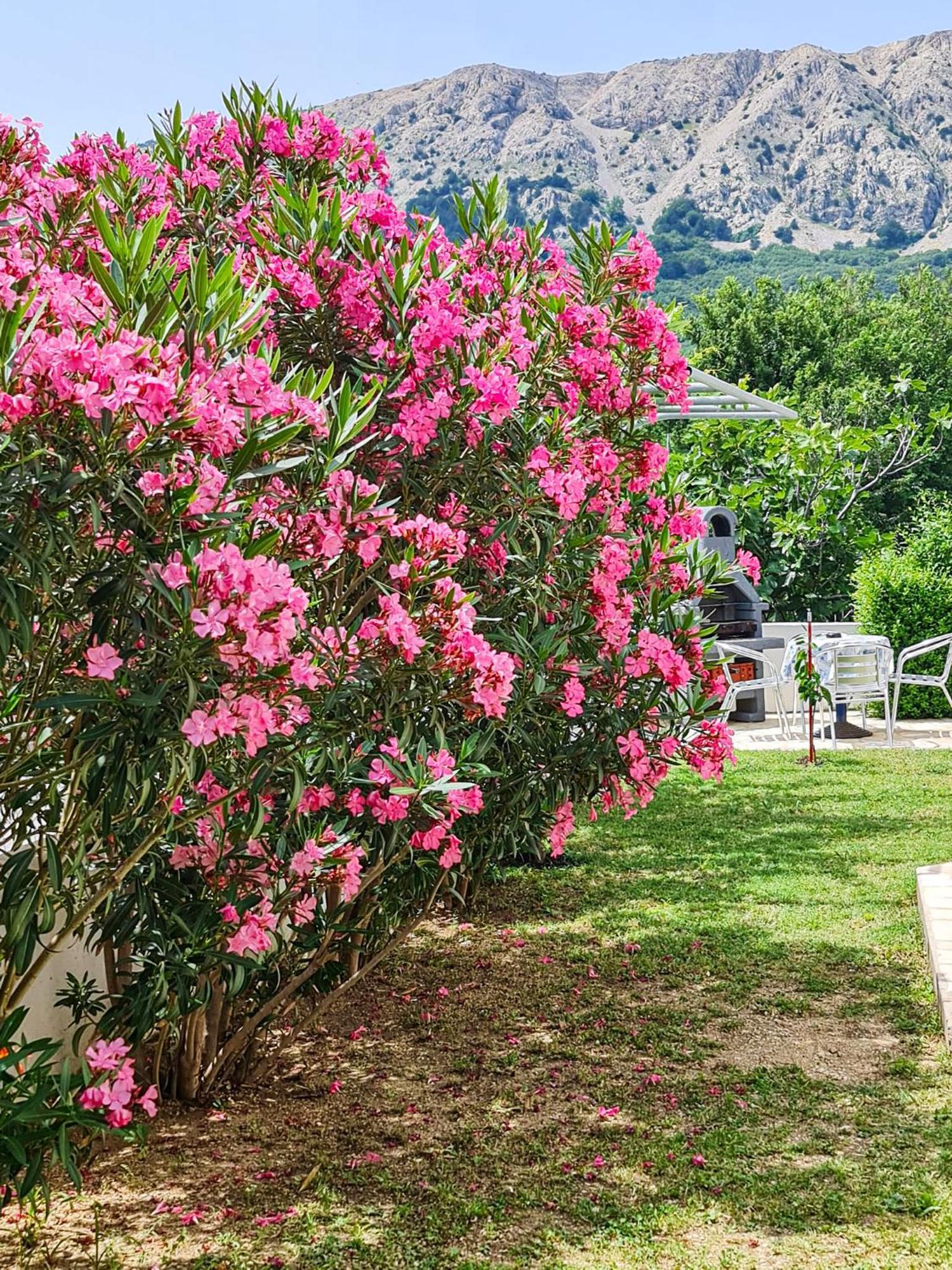 Apartments Benkovic Baška Kültér fotó
